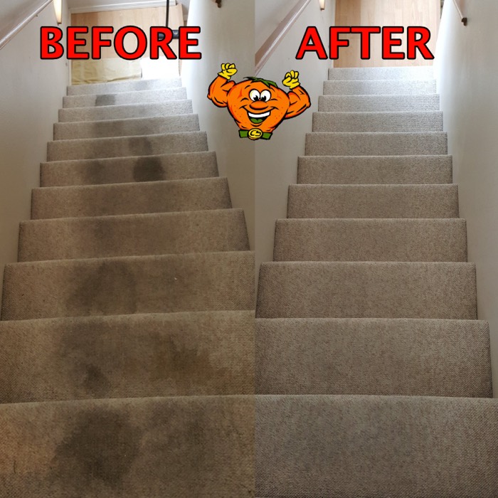 Carpeted stairs before and after a CitruSolution cleaning